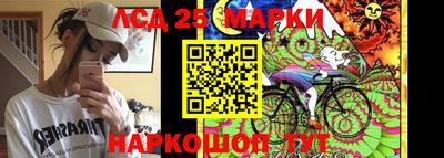 Альфа ПВП Можга