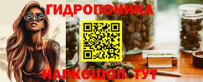 Альфа ПВП Можга