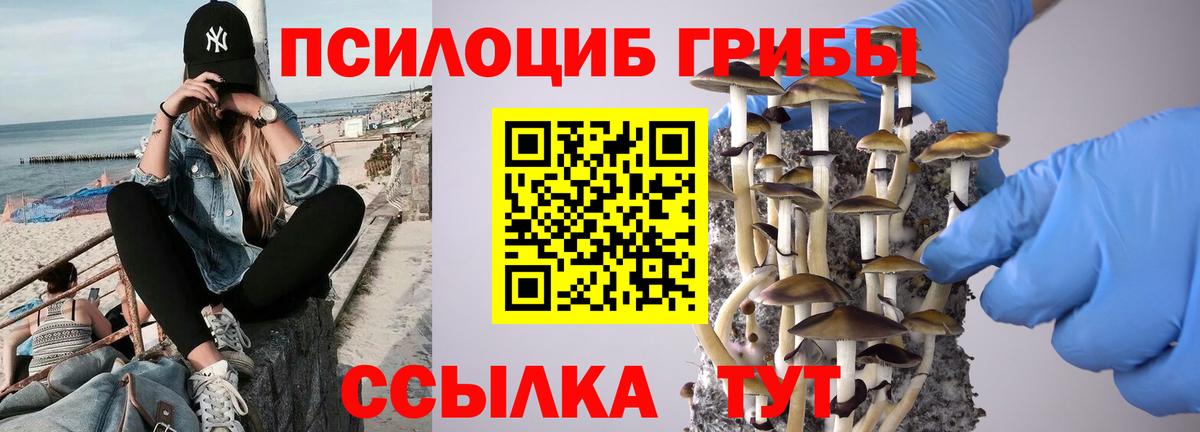 Псилоцибиновые грибы ЛСД Тулун